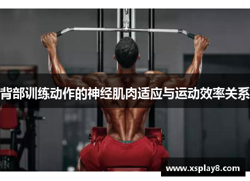 背部训练动作的神经肌肉适应与运动效率关系